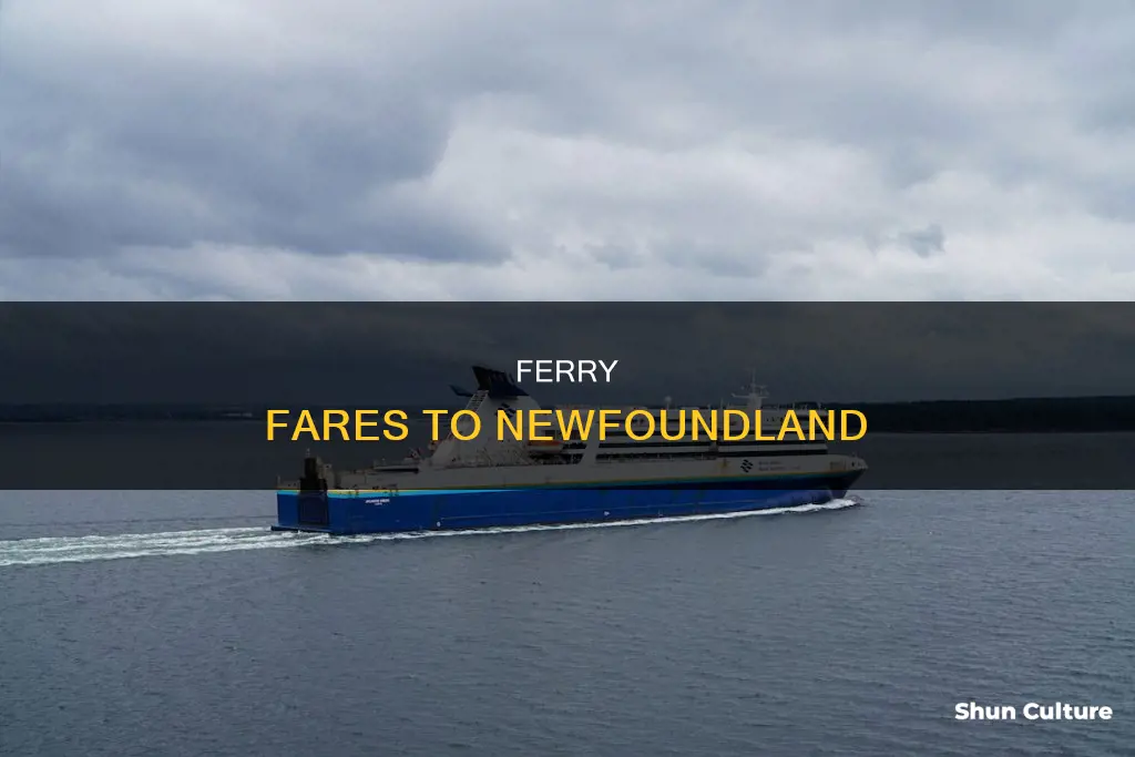 how much is the ferry from new brunswick to newfoundland