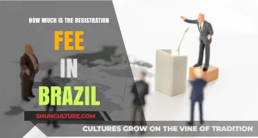Brazil Registration Fee: Understanding Costs for Vehicles and Businesses