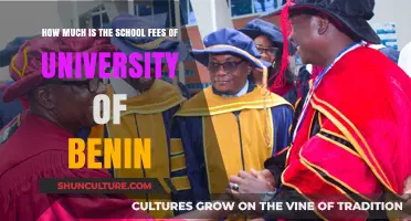 Exploring the Cost of Education: University of Benin School Fees