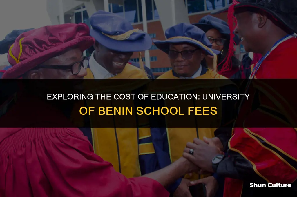 how much is the school fees of university of benin