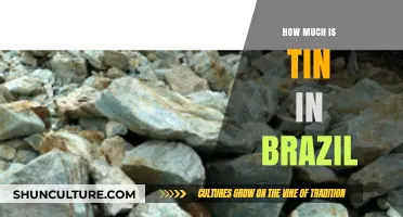 Tin Prices in Brazil: Current Trends and Market Insights