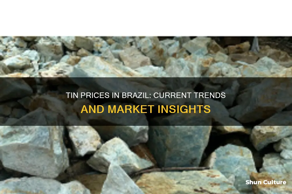 how much is tin in brazil
