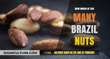 Brazil Nuts: Balancing Benefits and Risks of Overconsumption