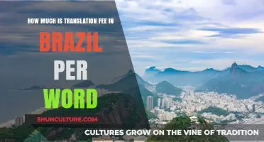 Translation Fees in Brazil: Understanding Per-Word Costs for Services