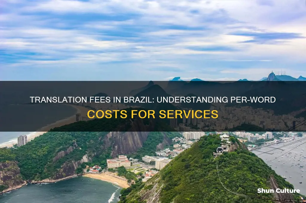 how much is translation fee in brazil per word