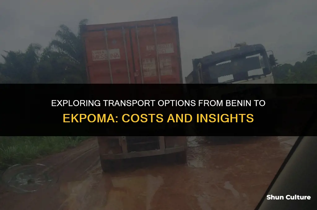 how much is transport from benin to ekpoma