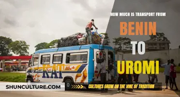 Exploring Transport Costs: Benin to Uromi Journey Insights