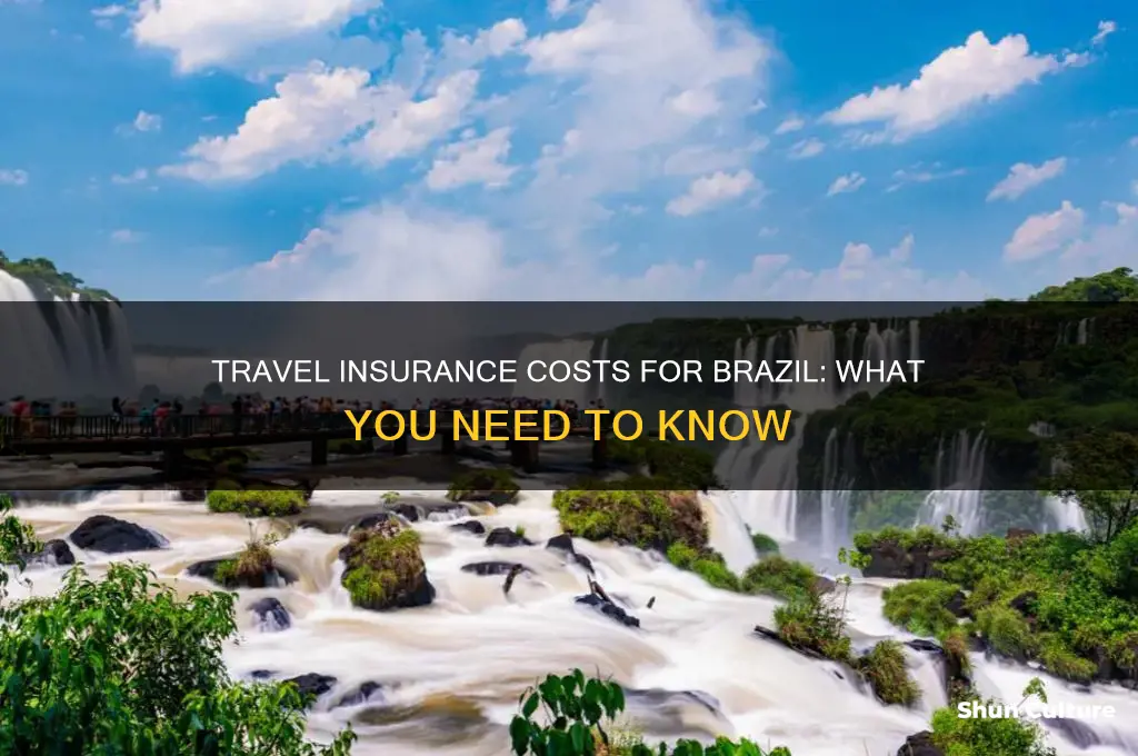 how much is travel insurance to brazil