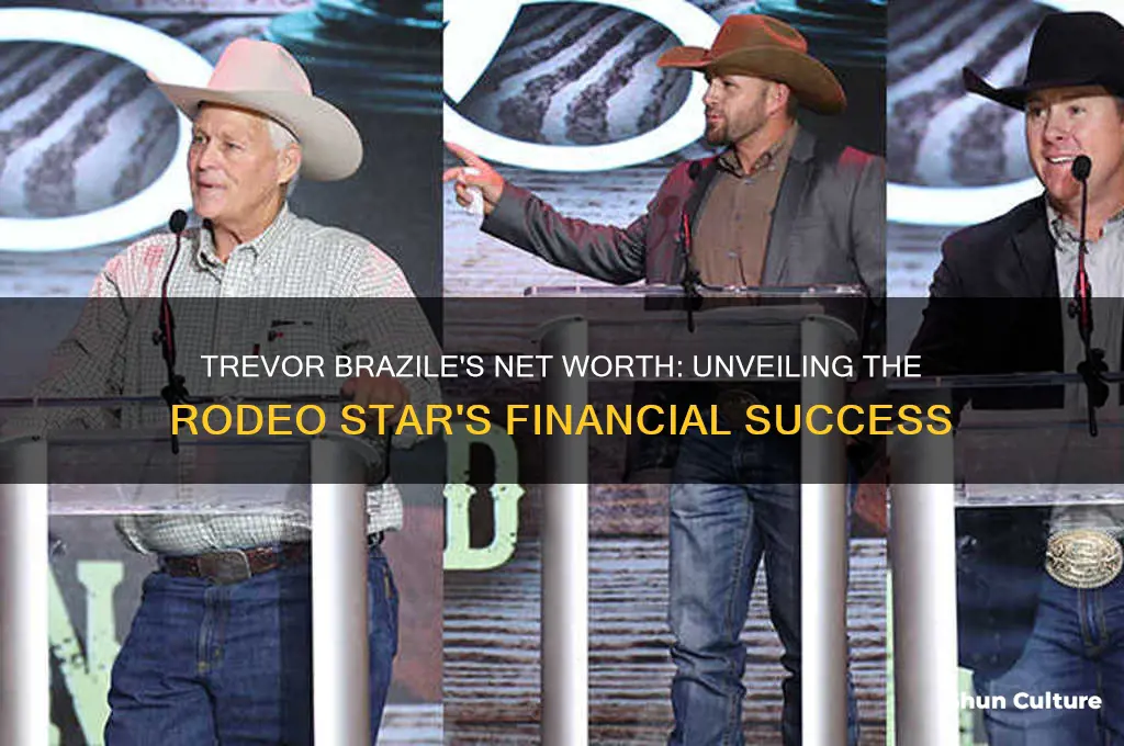 how much is trevor brazile worth