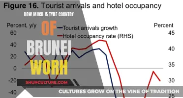 Brunei's Wealth: A Country's Worth Unveiled