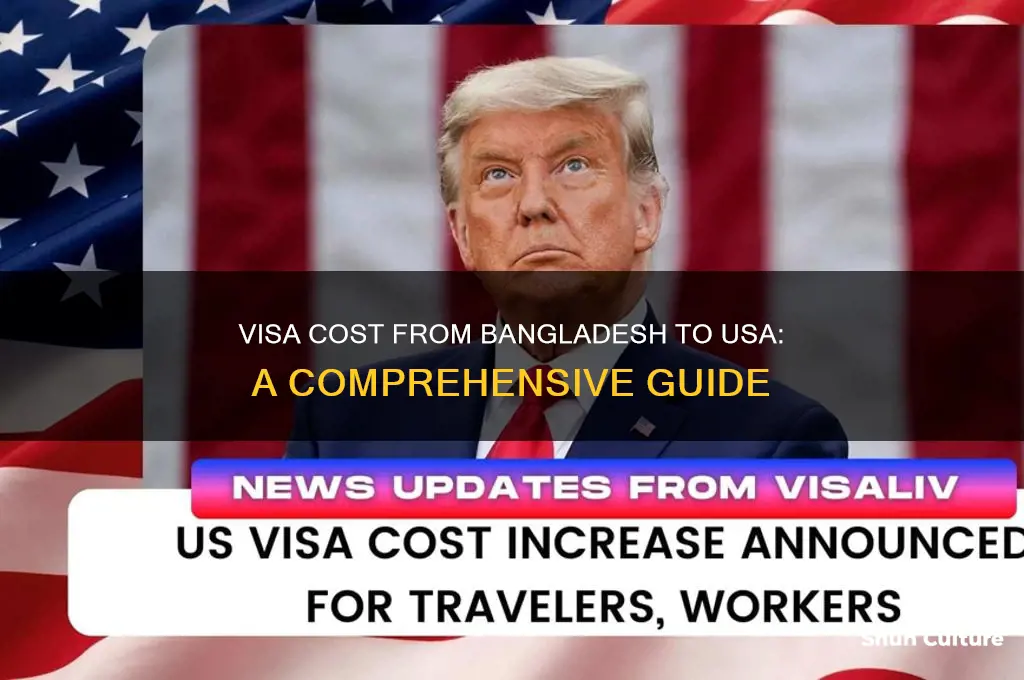 how much is visa from bangladesh to usa