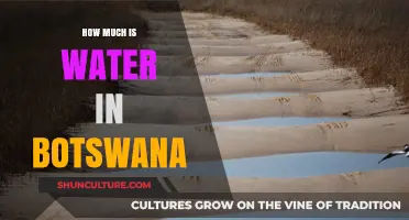 Exploring Botswana's Water Resources: Availability, Challenges, and Sustainable Solutions