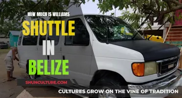 Williams Shuttle Service: Unveiling Belize's Affordable Transport Option