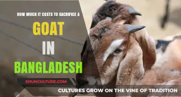 Goat Sacrifice Costs in Bangladesh: A Comprehensive Price Breakdown