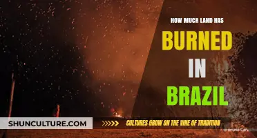 Brazil's Burning Land: Analyzing the Devastating Wildfire Impact