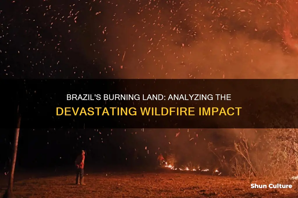 how much land has burned in brazil