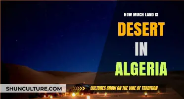 Algeria's Desert Dominance: Exploring the Vast Sahara's Land Coverage