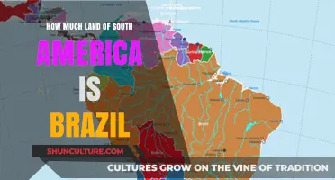 Brazil's Dominance: How Much of South America Does It Occupy?