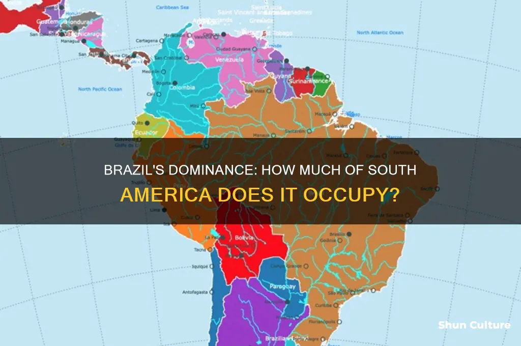 how much land of south america is brazil