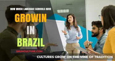 The Rapid Growth of Language Schools in Brazil: A Comprehensive Overview