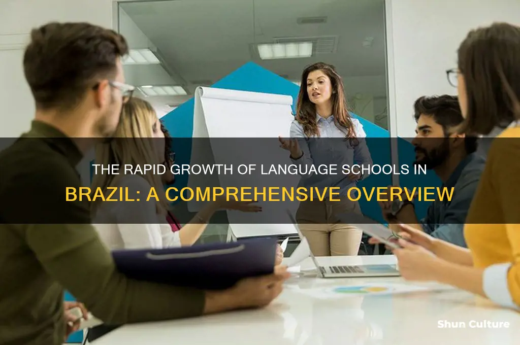 how much language schools have growin in brazil