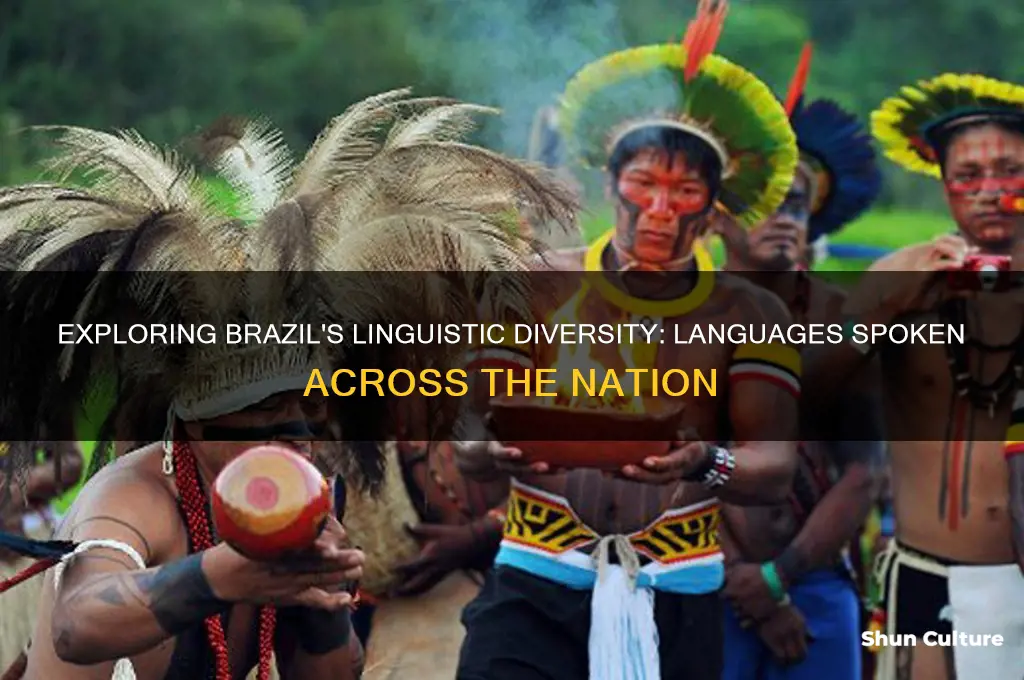 how much languages are spoken in brazil