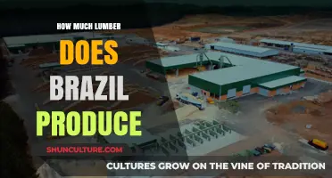 Brazil's Lumber Production: A Comprehensive Overview of Output and Impact