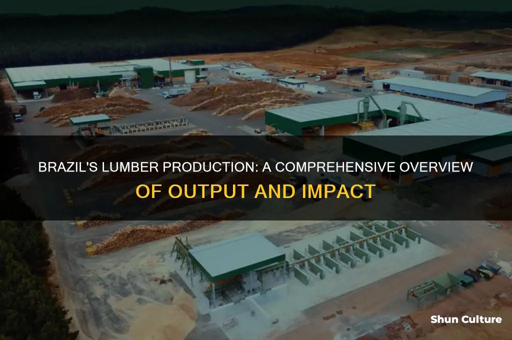 how much lumber does brazil produce