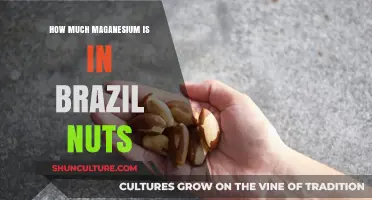 Brazil Nuts Magnesium Content: Unlocking Nutritional Benefits and Serving Tips