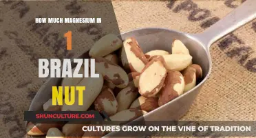 Brazil Nut Magnesium Content: Unlocking Nutrient Power in One Nut