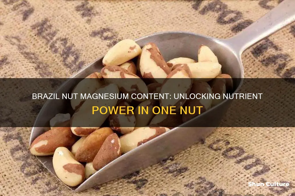 how much magnesium in 1 brazil nut