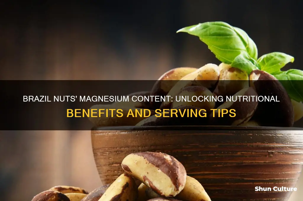 how much magnesium in a brazil nut