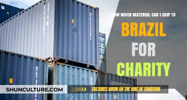 Shipping Charity Goods to Brazil: Material Limits and Guidelines