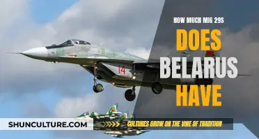 Belarus' MiG-29 Fleet: Size and Strategic Importance