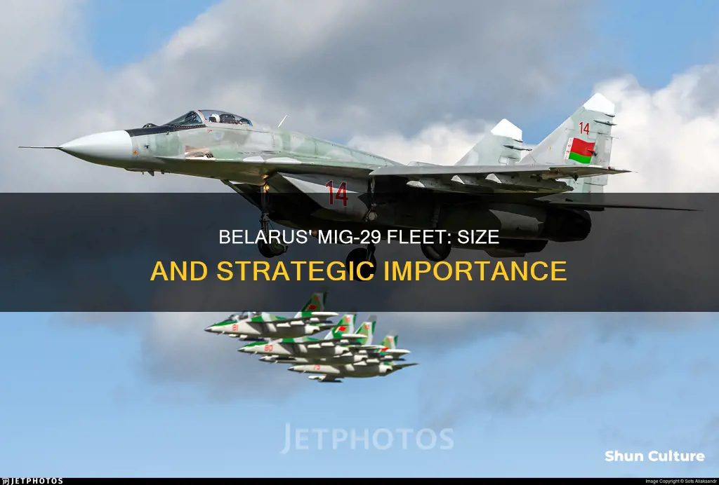 how much mig 29s does belarus have