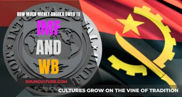 Angola's Debt to IMF and WB: How Much?