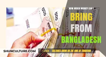 Bringing Money from Bangladesh: Limits, Rules, and Best Practices