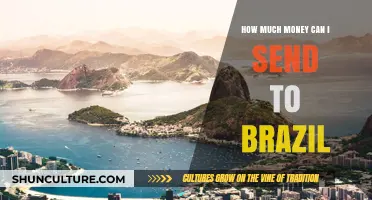 Sending Money to Brazil: Limits, Fees, and Best Transfer Options