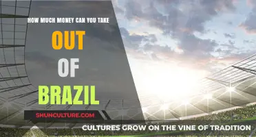 Navigating Brazil's Currency Export Limits: How Much Can You Take Out?