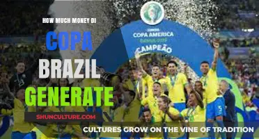 Copa Brazil Revenue: Unveiling the Tournament's Financial Impact and Earnings