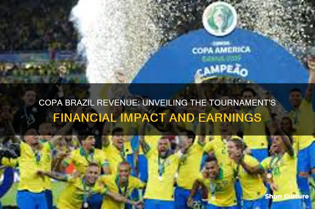 how much money di copa brazil generate