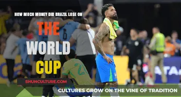Brazil’s World Cup Financial Loss: A Staggering Economic Impact Revealed