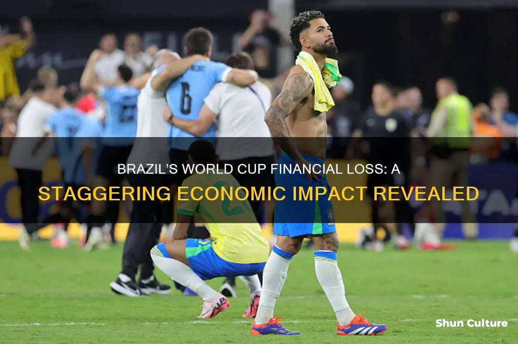 how much money did brazil lose on the world cup