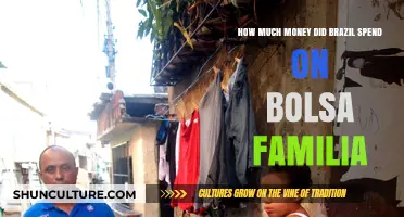 Brazil's Bolsa Familia Investment: A Breakdown of Program Spending