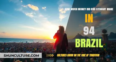 Rod Stewart's 1994 Brazil Earnings: A Financial Breakdown