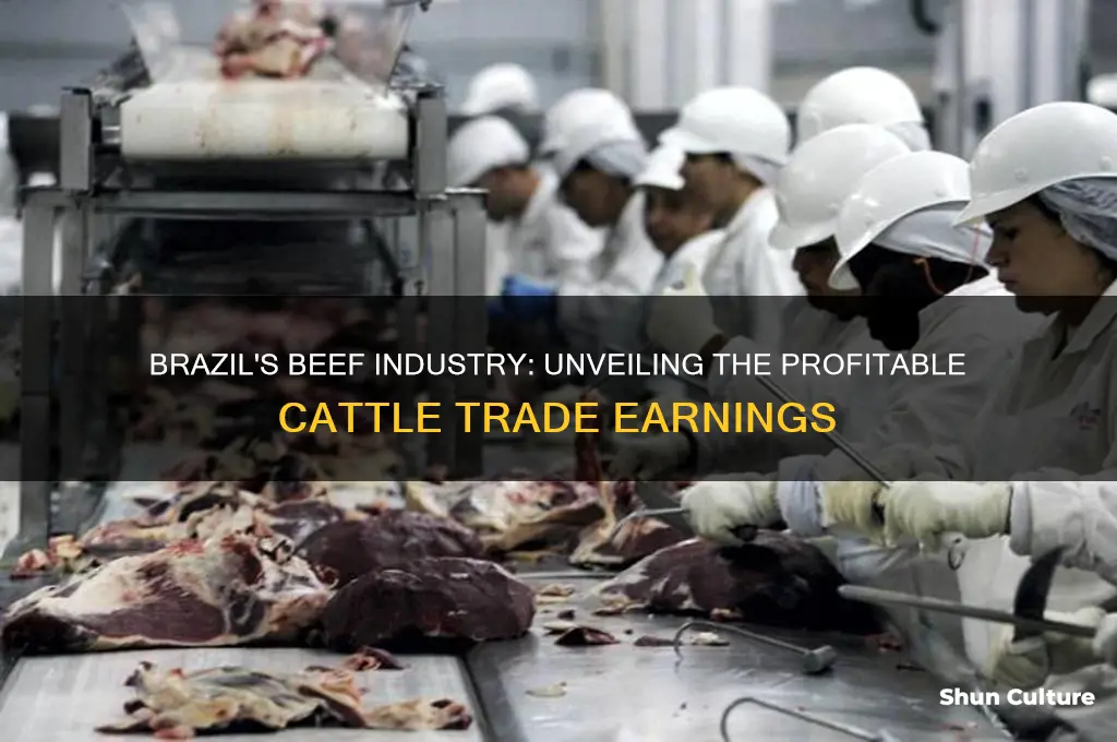 how much money do brazil make of beef