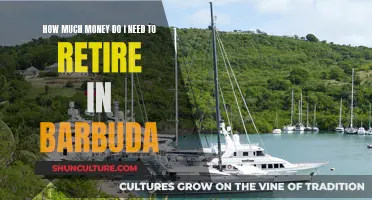 Planning for Retirement in Barbuda: How Much is Enough?