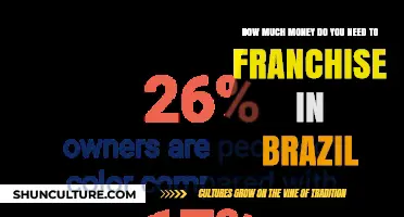 Franchising in Brazil: Understanding the Financial Requirements for Success
