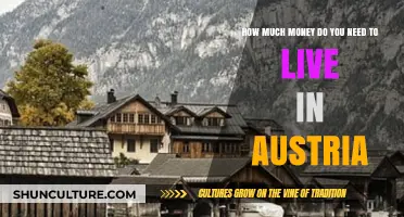 A Comprehensive Guide: Living Costs in Austria