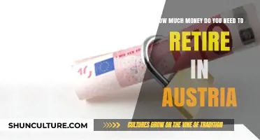 Retiring in Austria: Unlocking the Cost of Comfort